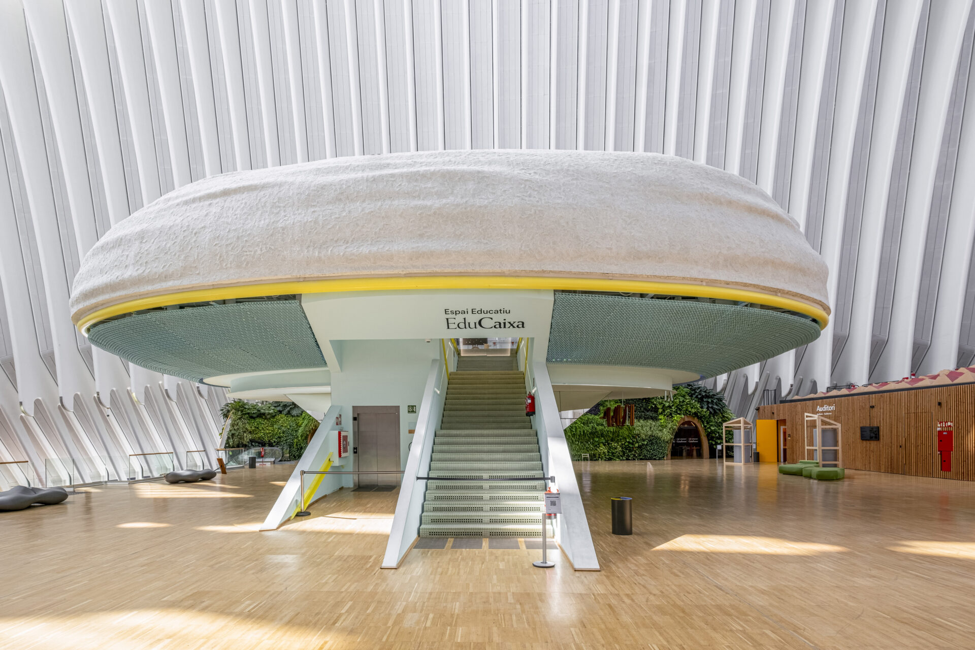 Caixa Forum Edificio Ágora Ciudad De Las Ciencias De Valencia - Gypsum International Trophy 2025